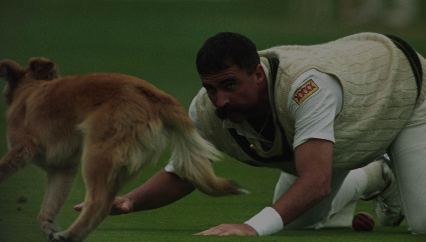 Australian paceman Merv Hughes gets onto all fours to catch a stray dog at Trent Bridge