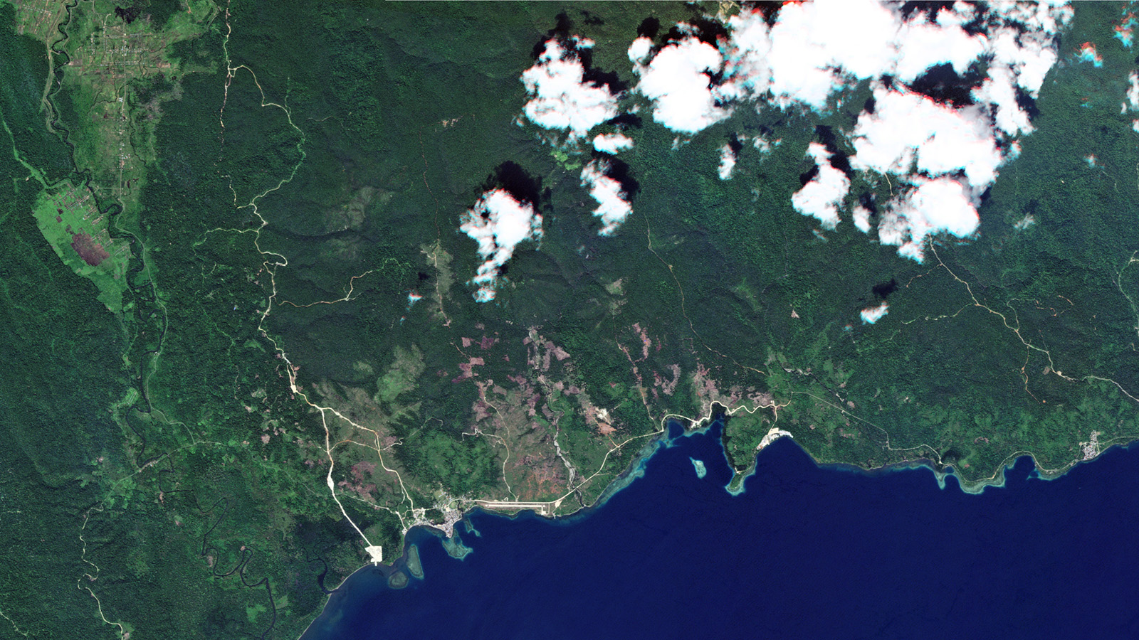 This is the story of Weda Bay – and how nature is being sacrificed for mining
