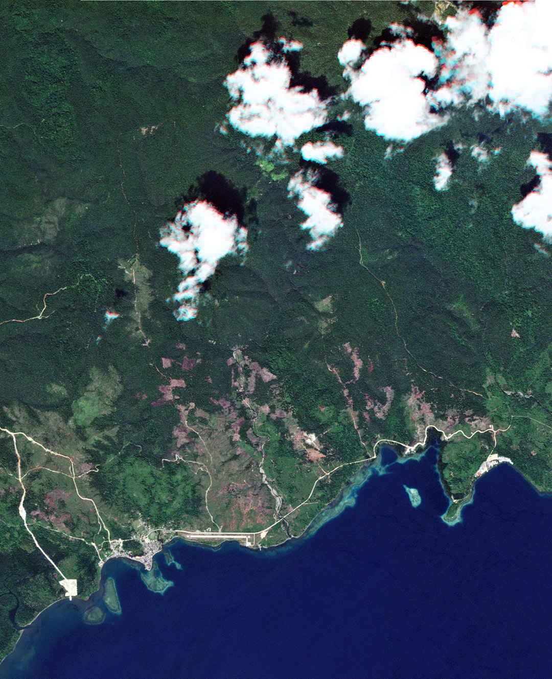 theguardian.com - Patrick Greenfield - This is the story of Weda Bay - and how nature is being sacrificed for mining