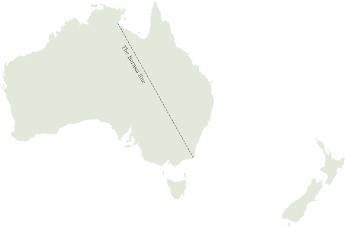 Battle Of The Codes Australia S Four Sports Leagues Compared Interactive News Theguardian Com